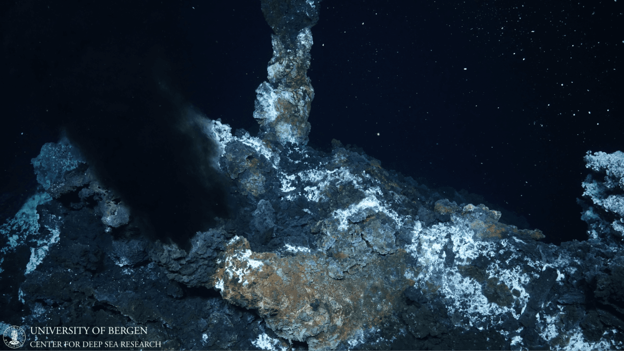 Picture of Bioprospektering - jakten på naturens egne løsninger